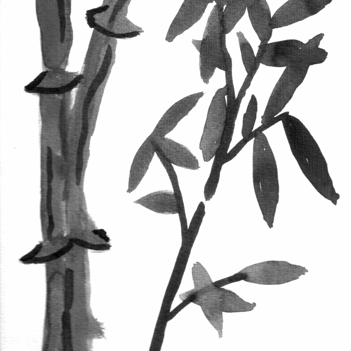 Bambus Tusche