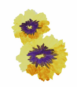 Gelbe Blumen Aquarell